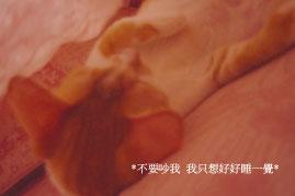 附加檔案: 10_2008_2.jpg