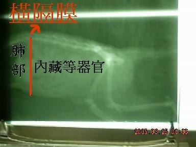 附加檔案: 14_1706_21.jpg