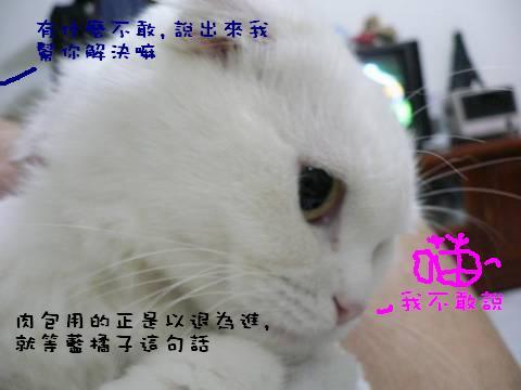 附加檔案: 10_7043_45.jpg