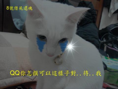 附加檔案: 33_2752_120.jpg