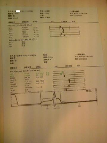 附加檔案: 30_9388_21.jpg