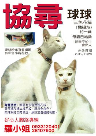 附加檔案: s-cat.jpg