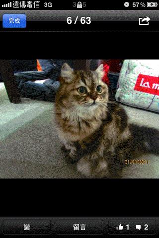 附加檔案: img_2538.gif