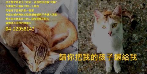 附加檔案: catmag0745.jpg